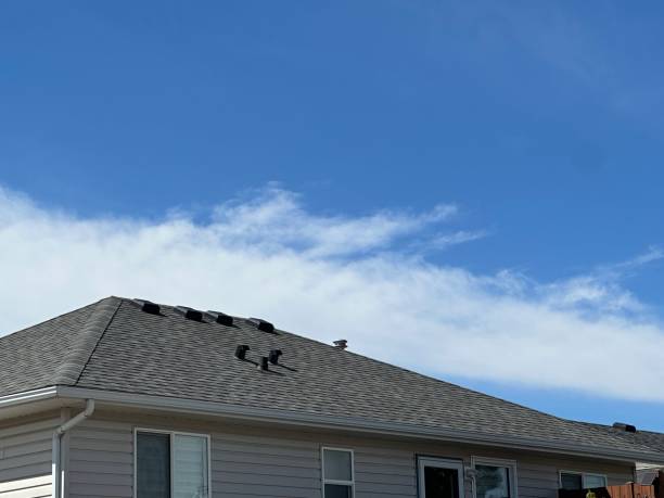 Best Roof Ventilation Installation  in Grapevine, TX